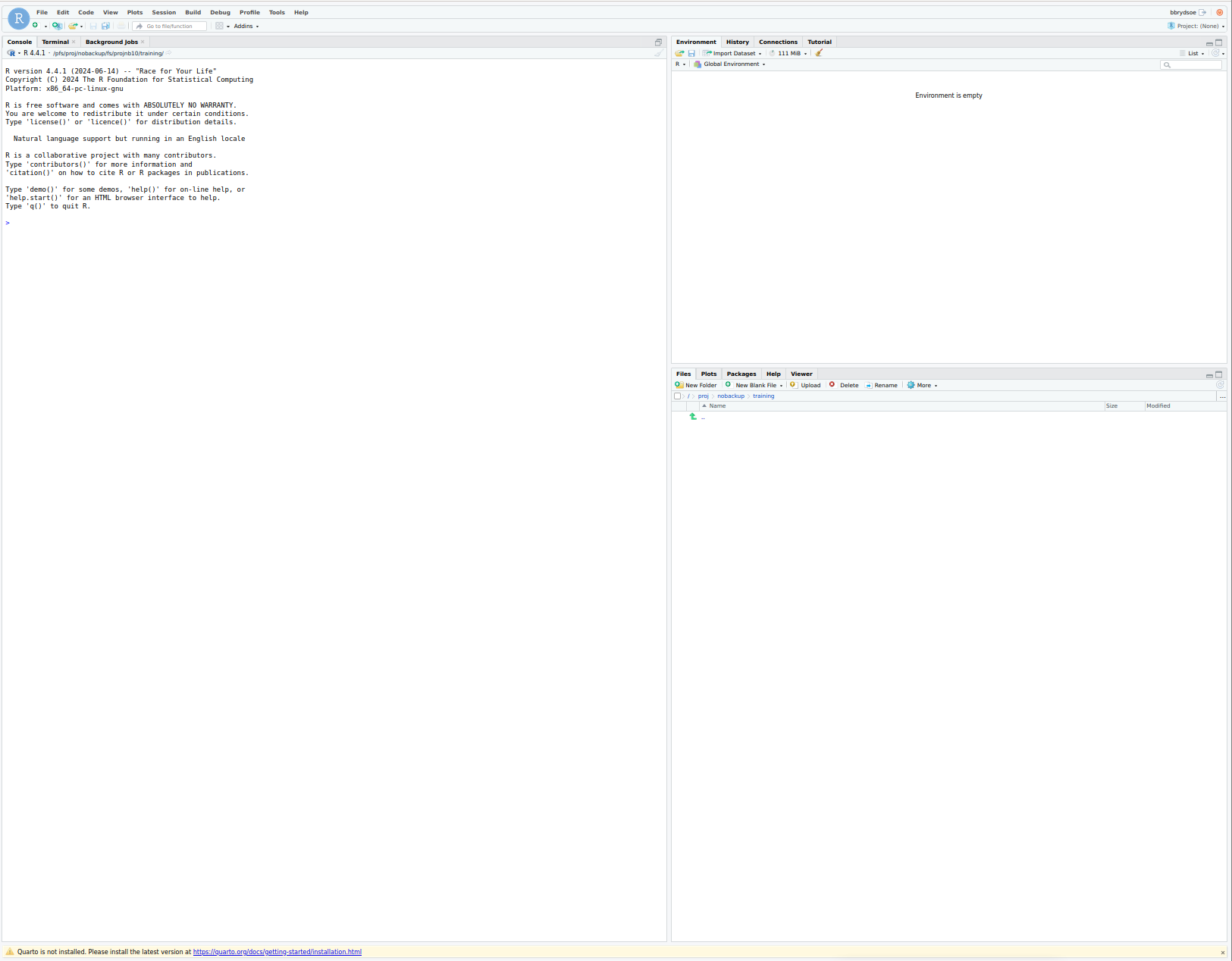 Open OnDemand RStudio server