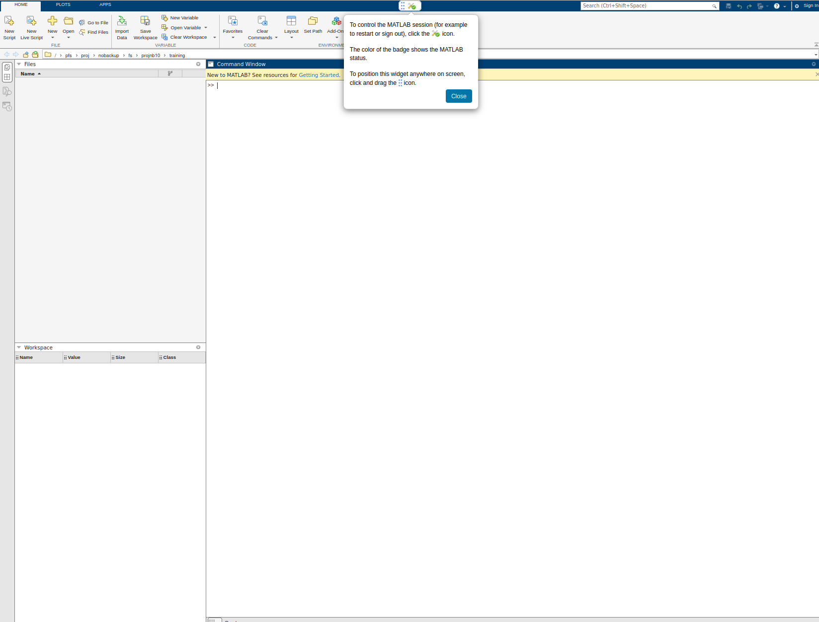 Open OnDemand MATLAB proxy