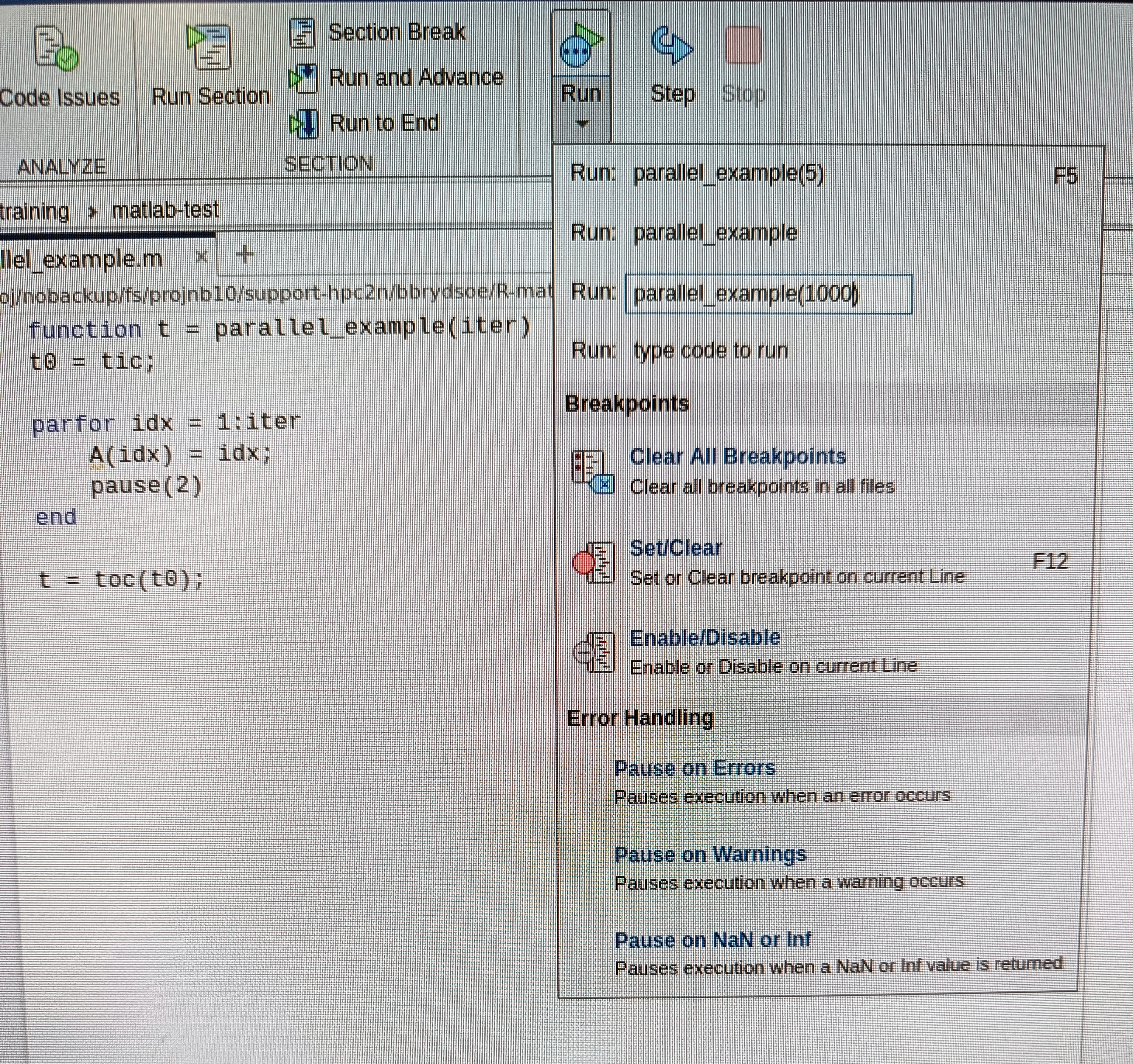 Run parallel matlab script